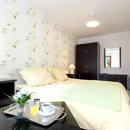 Buena Vista Borik Apartment *